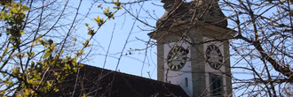 kirche_hinter_busch
